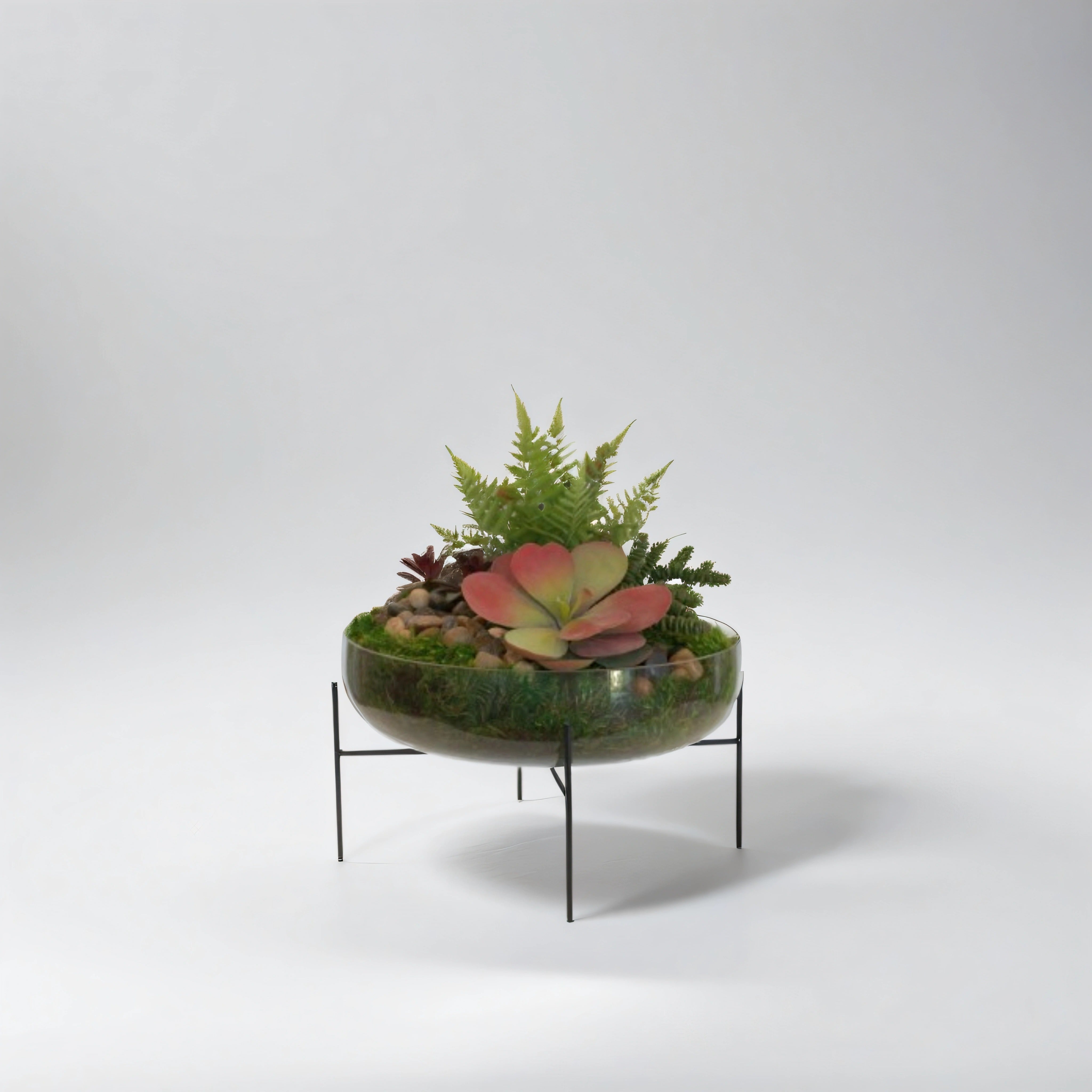 13.5" Sadie Bowl with Succulent Arrangement