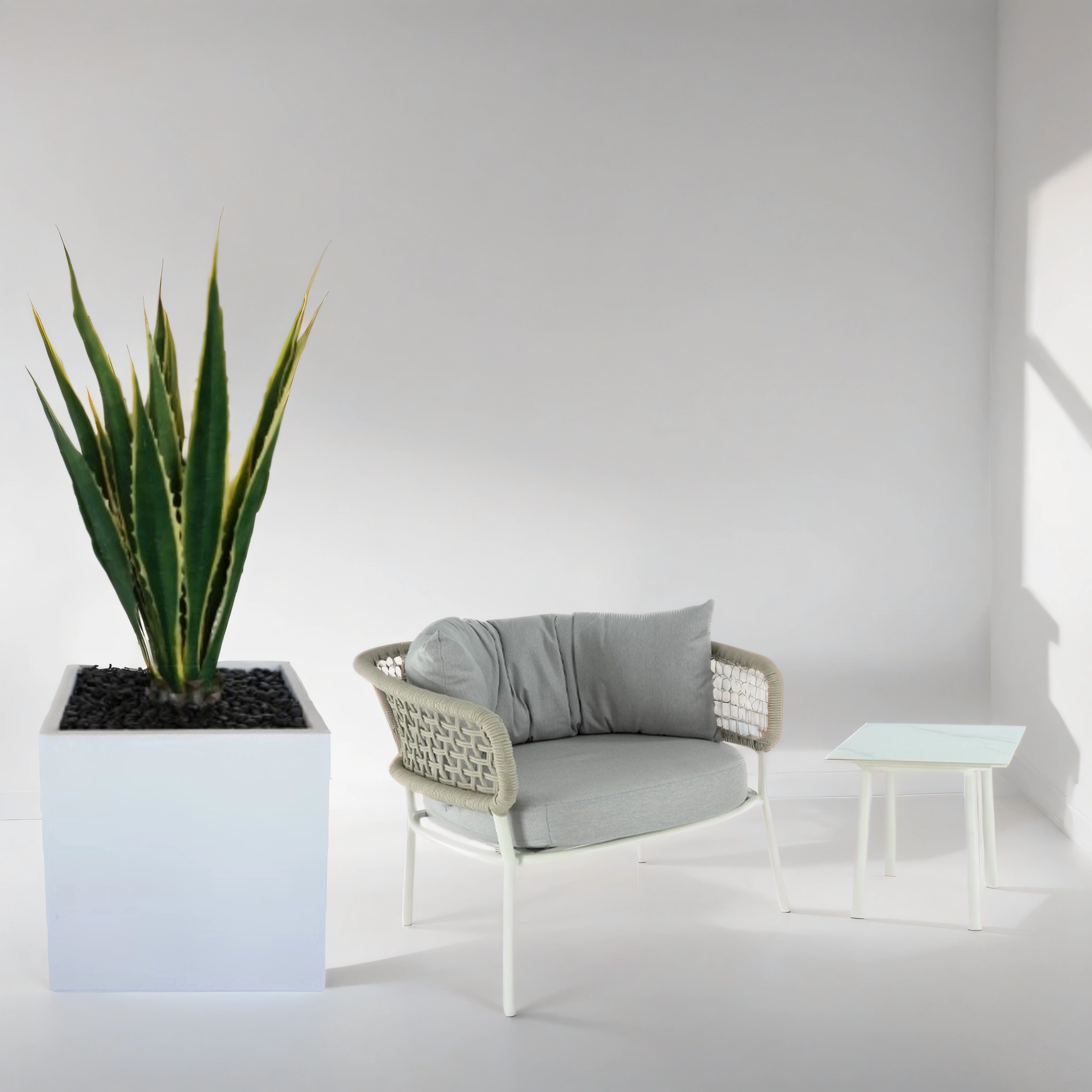 46" Agave in MD White Balboa Planter with Black Rock