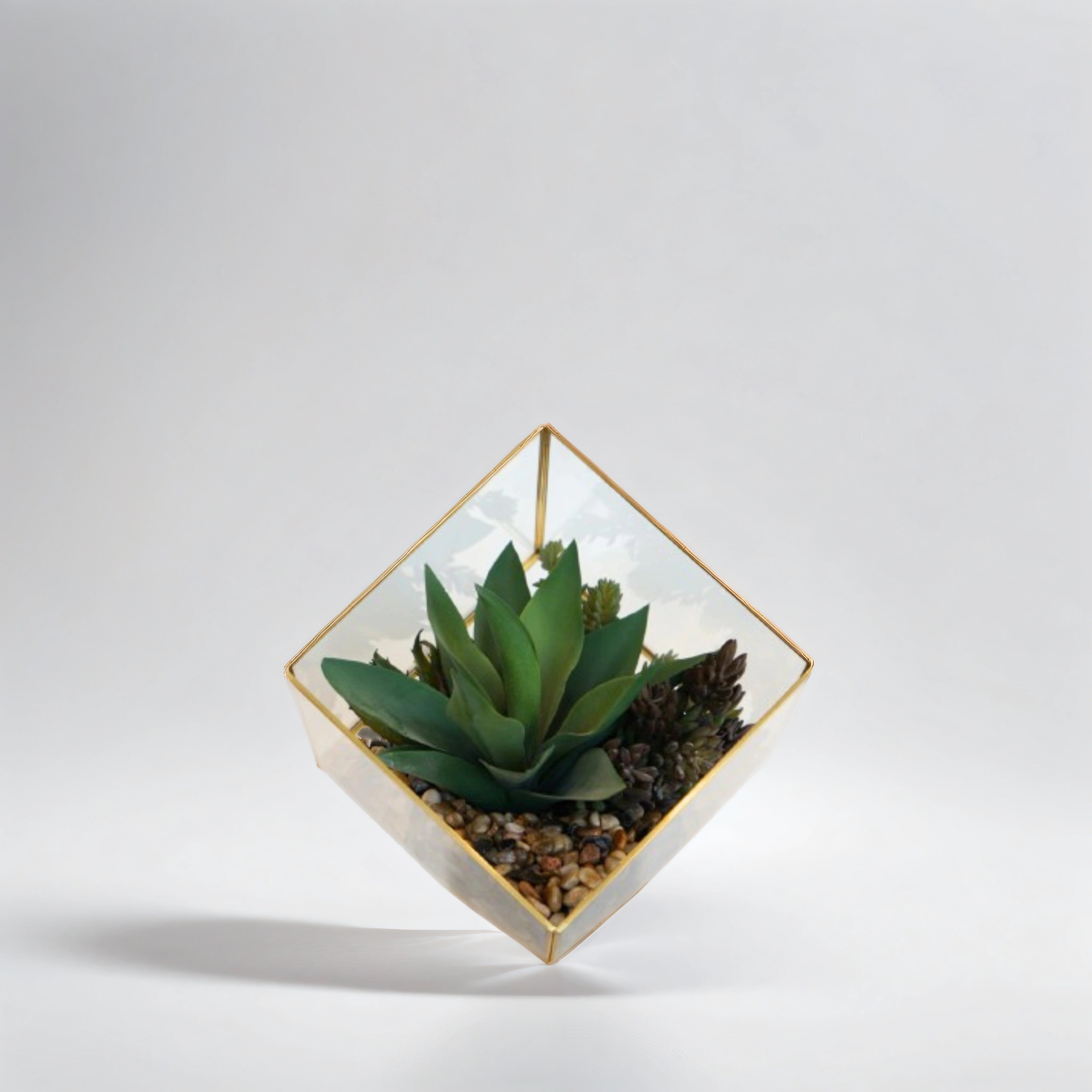 Medium Gold Berkley Terrarium Succulent