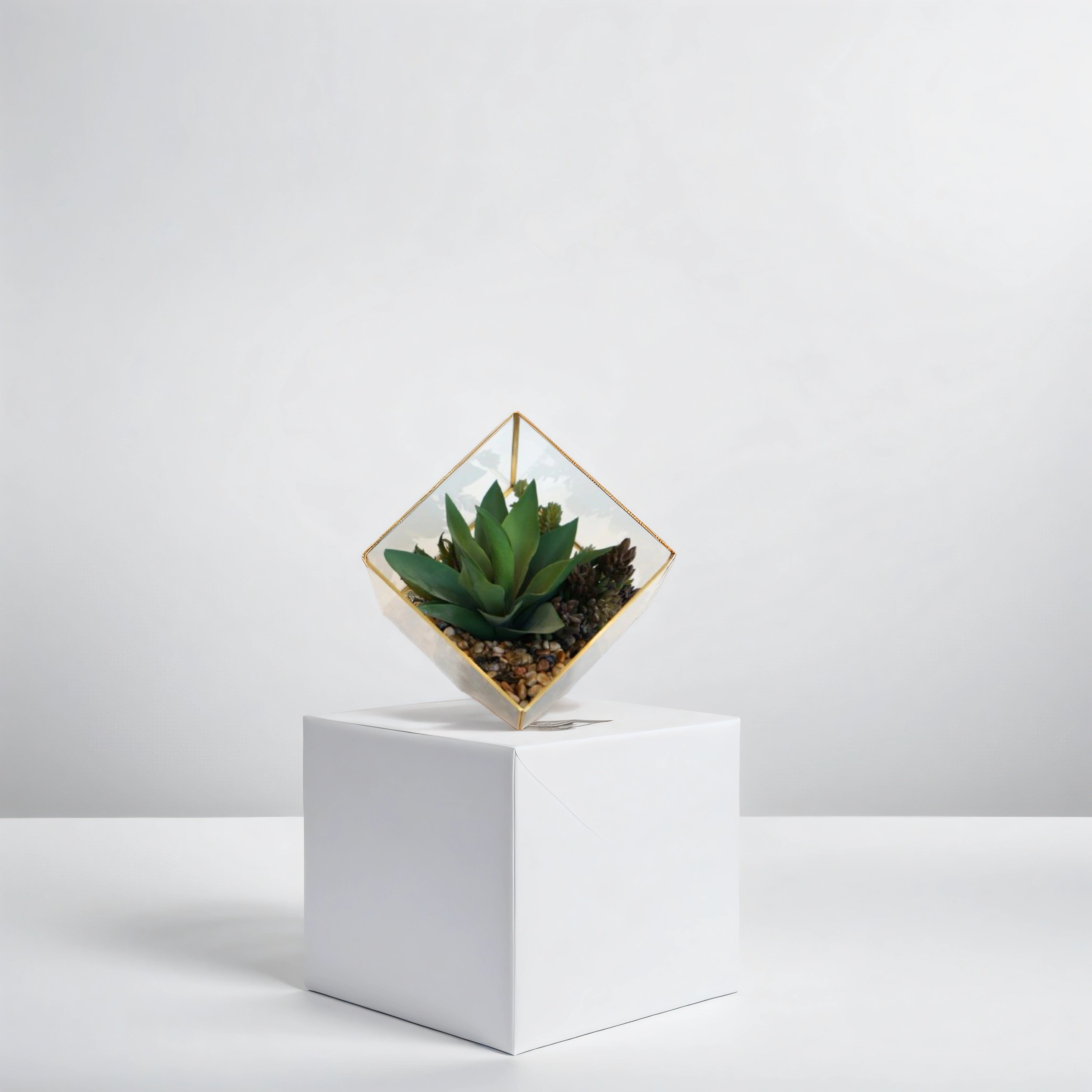 Medium Gold Berkley Terrarium Succulent