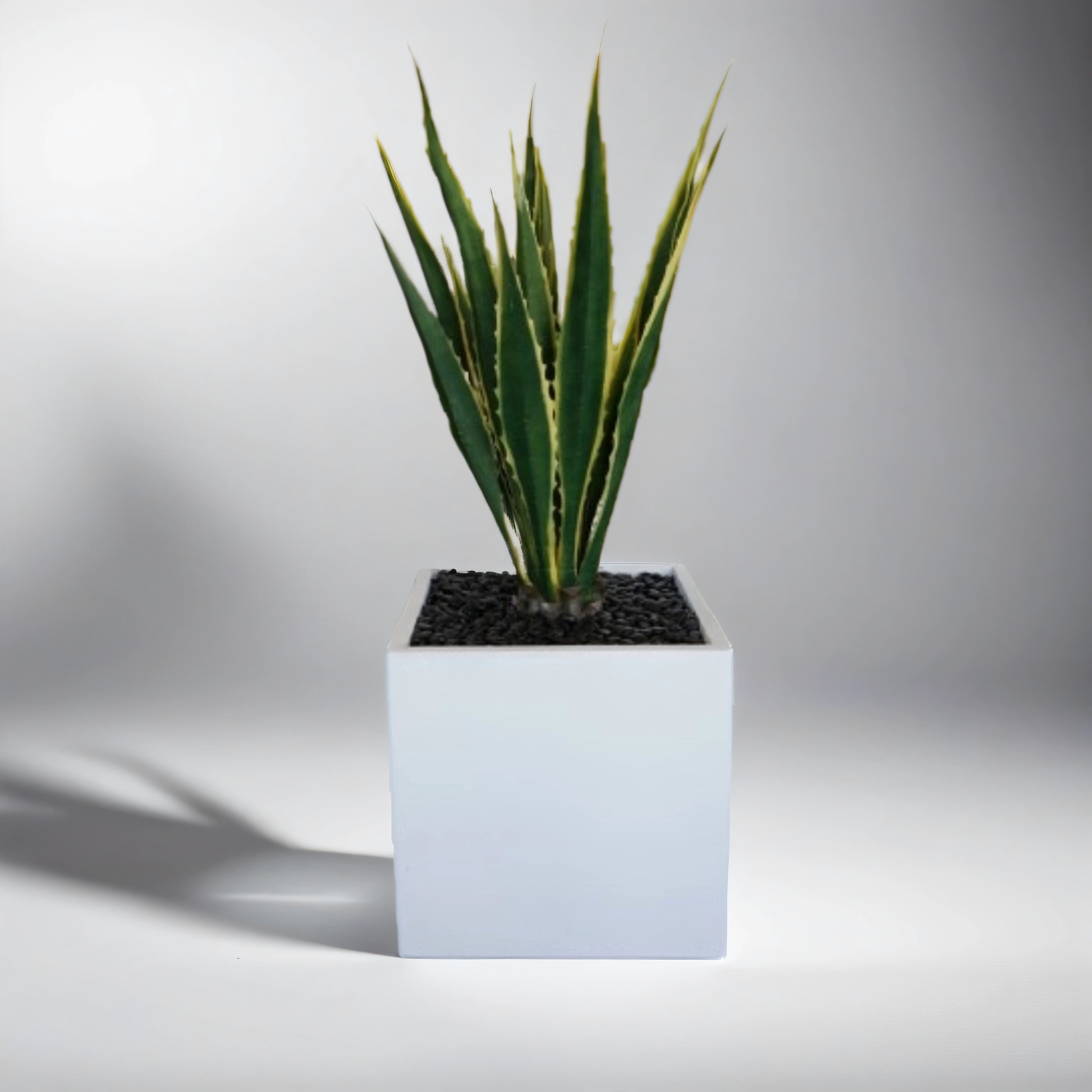 46" Agave in MD White Balboa Planter with Black Rock