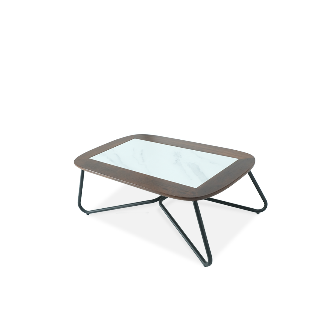 Aluminium Rope Wood Lounge Set with Coffee Table